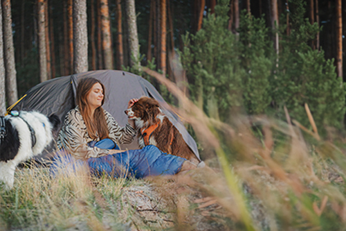 Wędrówki z psami: jak Vinger II i Nordkapp zmieniają nocleg